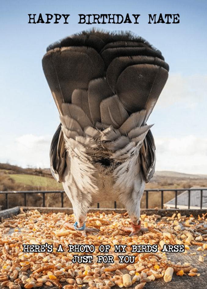 Happy birthday mate - there's a Twisted Gifts Birds Arse Rude Birthday Card for you.