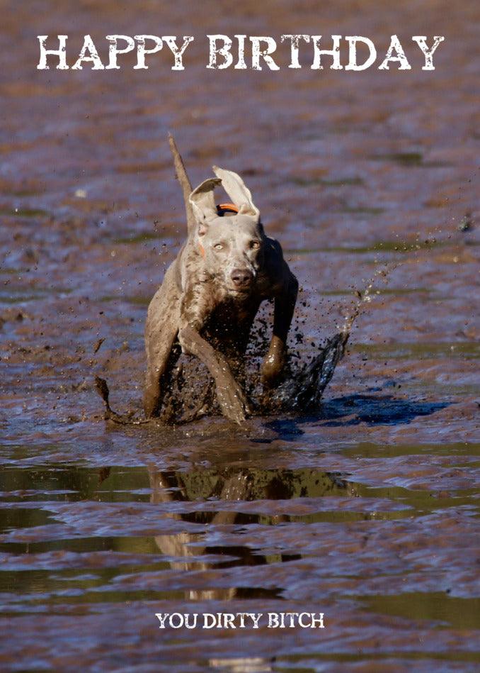 A dog frolicking in the muddy terrain with the Dirty Bitch Rude Birthday Card from Twisted Gifts.