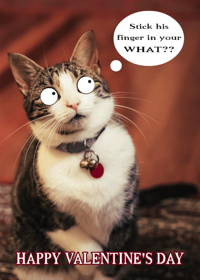 Twisted Gifts offers the Finger In What? Rude Valentine's Card, a hilarious and unique Valentine's Day card perfect for that special someone. Surprise your valentine with a funny twist on tradition, sending this one-of-a-kind Twisted Gifts Valentine's card.