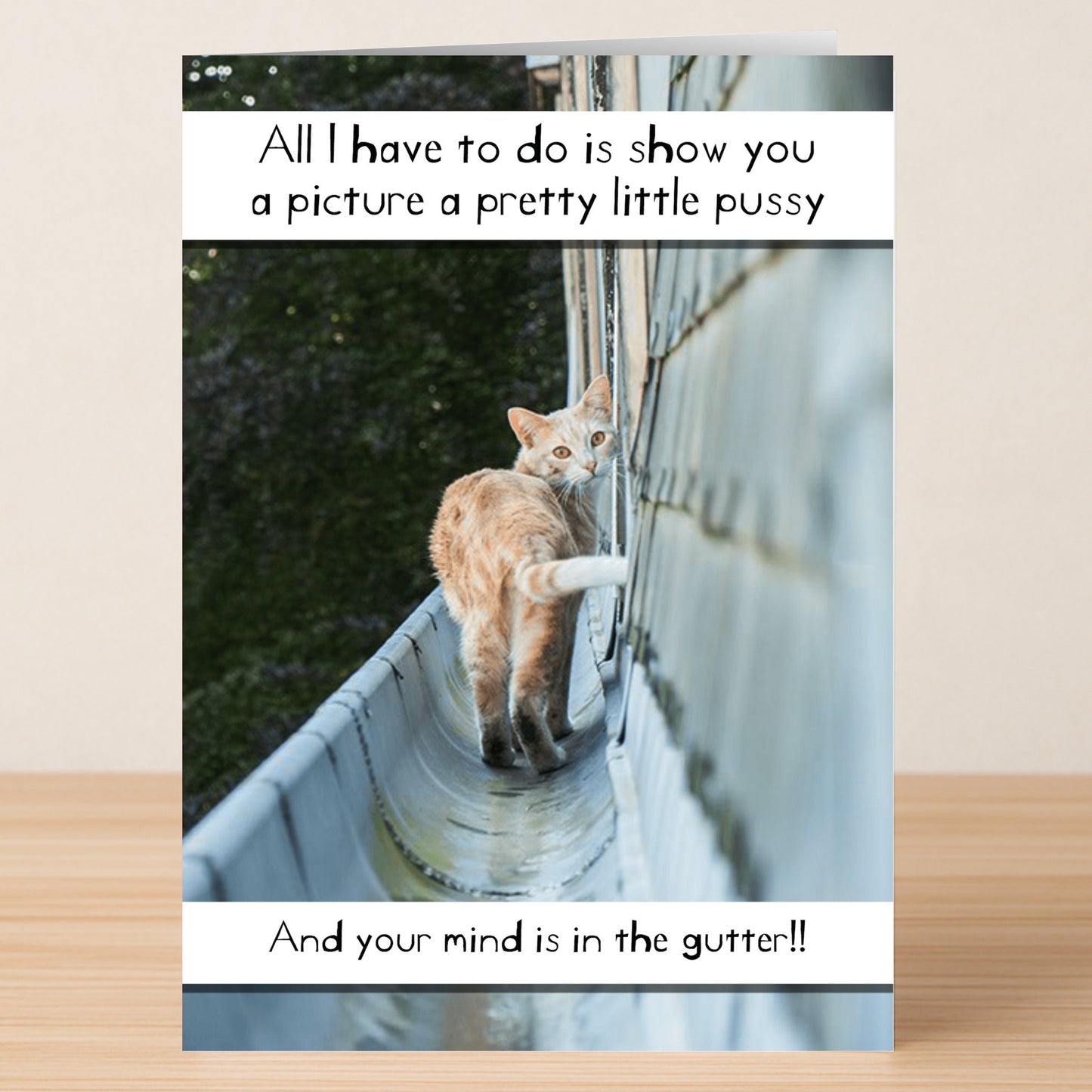 Twisted Gifts' "Gutter – Rude Any Occasion Card" features a cat in a rain gutter with the cheeky message: “All I have to do is show you a picture of a pretty little pussy and your mind is in the gutter!!” Perfect for fans of sarcastic humor.