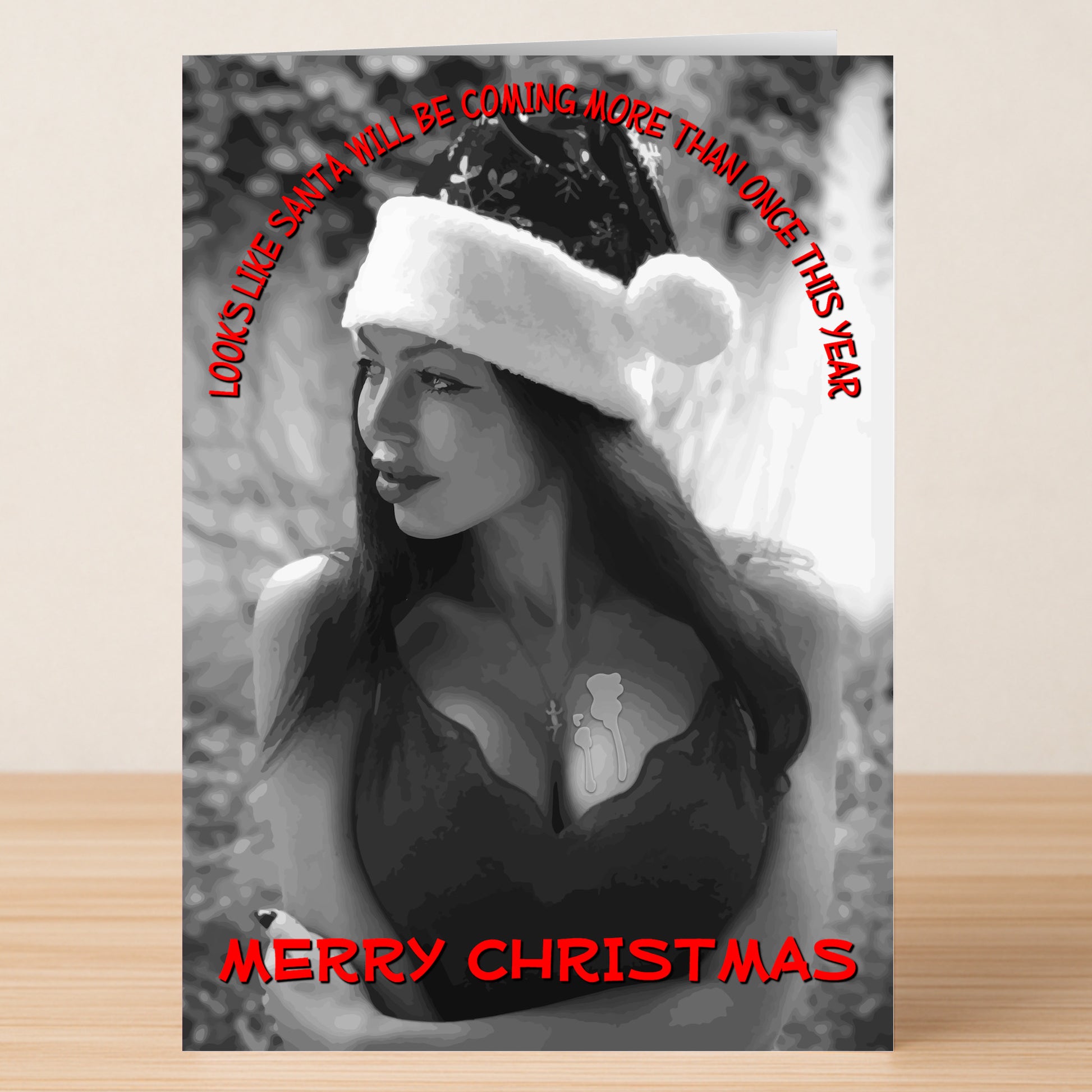 The More Than Once Rude Christmas Card by Twisted Gifts features a woman in a Santa hat and low-cut dress with the cheeky message: "LOOKS LIKE SANTA WILL BE COMING MORE THAN ONCE THIS YEAR. MERRY CHRISTMAS" in bold red text.
