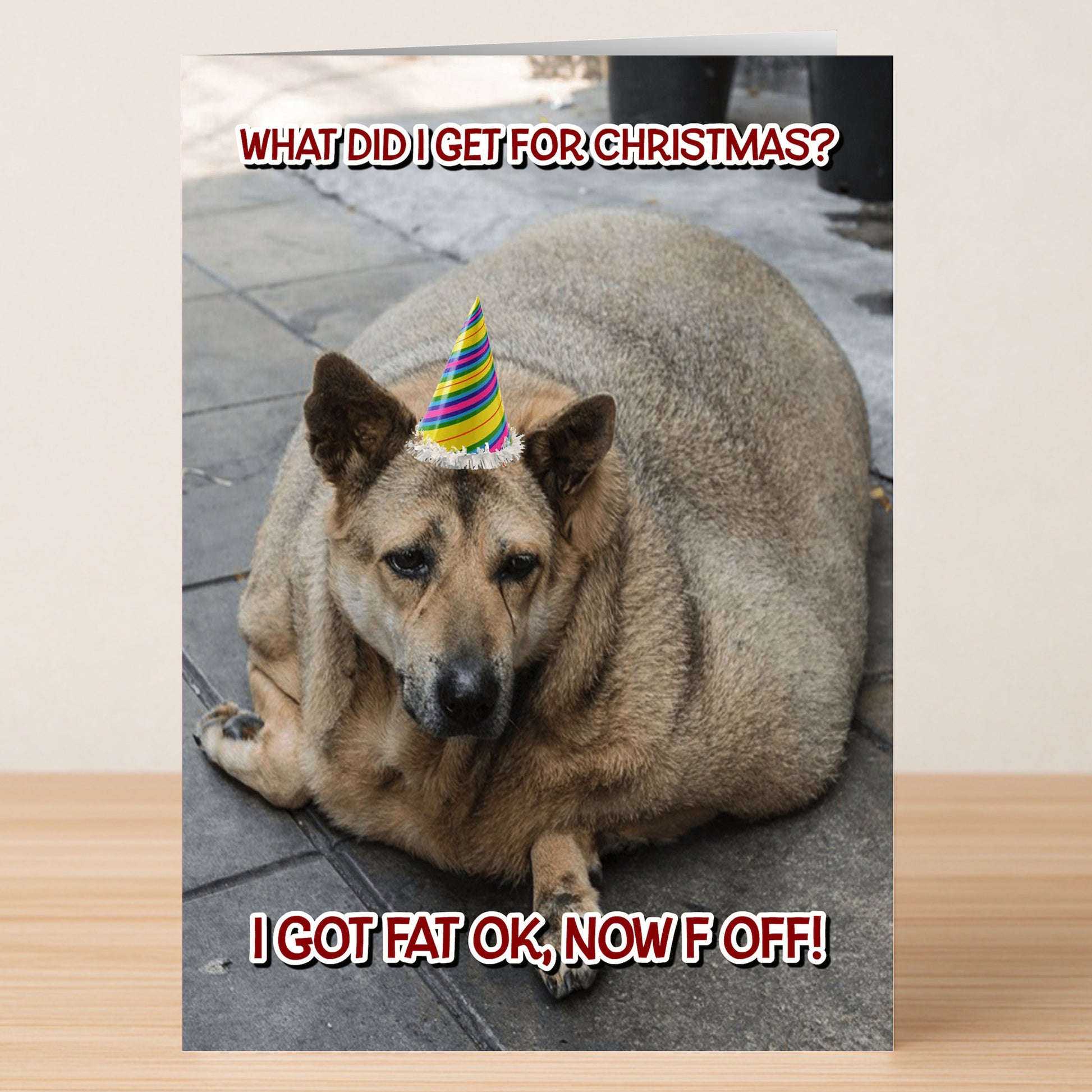 The Twisted Gifts Fat OK Funny Christmas Card features a large dog in a party hat with bold red text joking about holiday weight gain—perfect for sharing laughs this Festive Season.