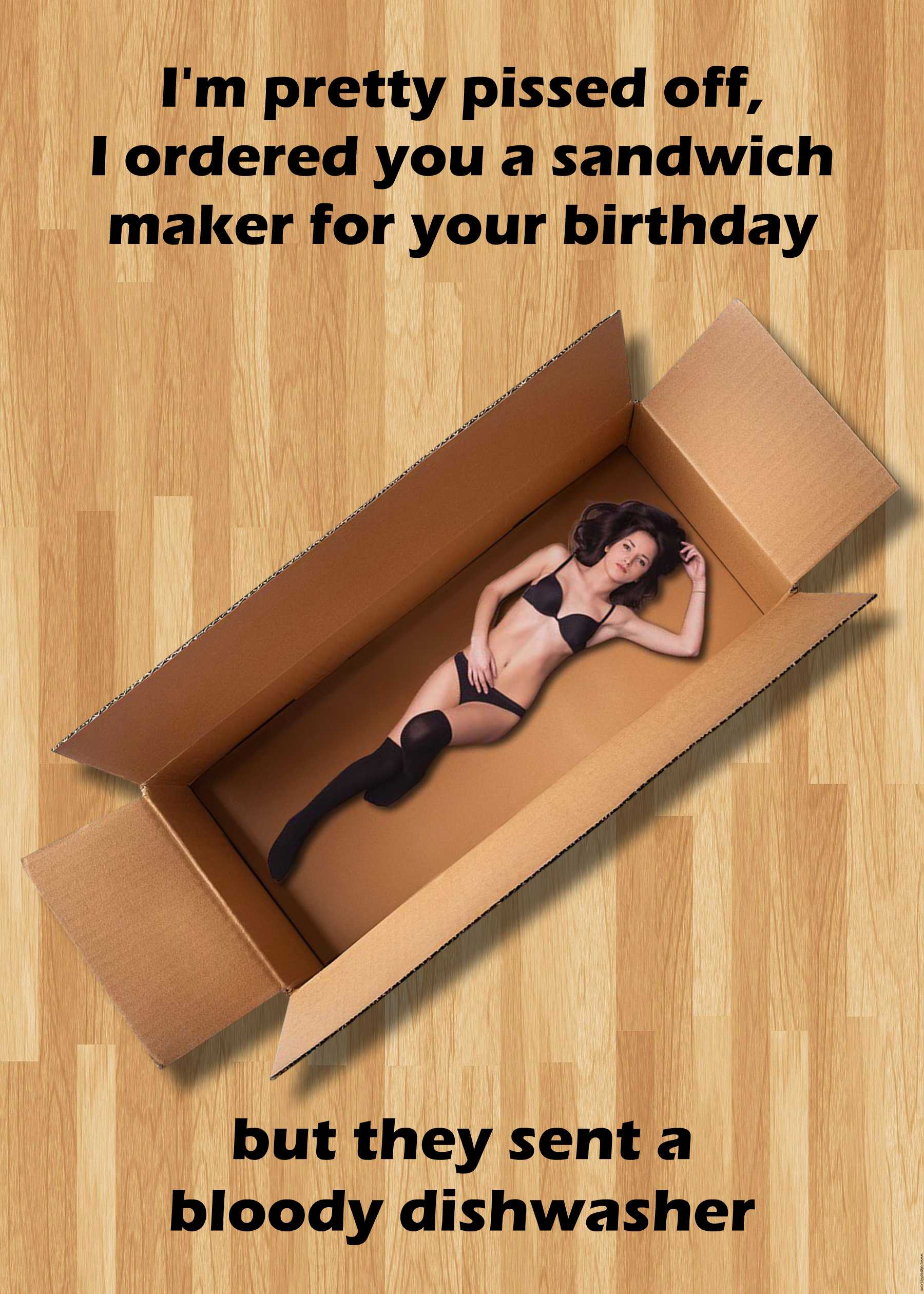 The Sandwich maker Funny Birthday Card by Twisted Gifts features a woman in lingerie lying in an open cardboard box, with puns above and below making a sandwich-themed joke.