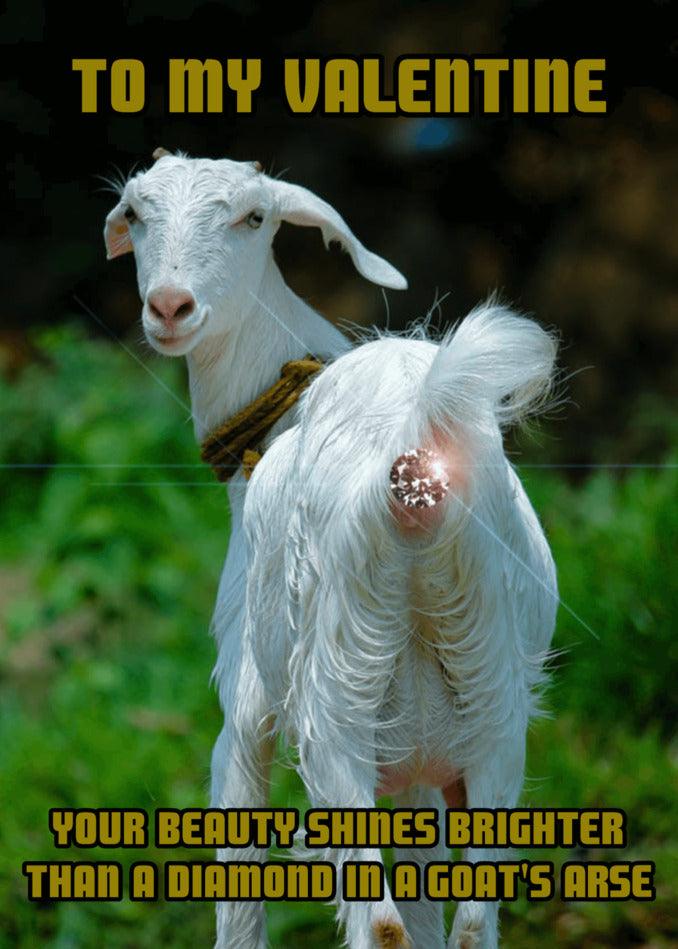 To my Valentine, your beauty shines brighter than a Goats Arse Rude Valentine's Card from Twisted Gifts.
