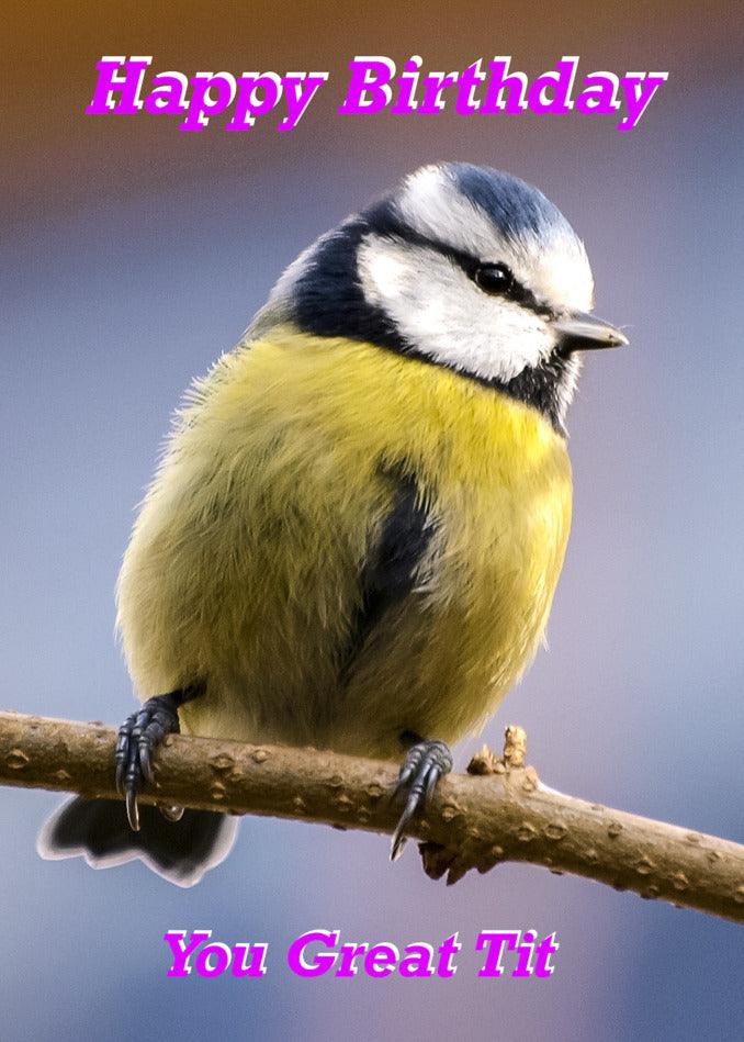 A bird sitting on a branch with a Twisted Gifts Great Tit Rude Birthday Card.