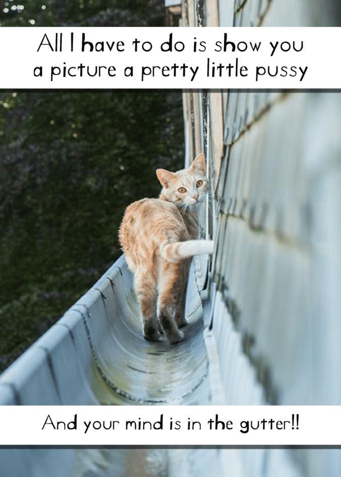 All I have to do is show you a picture of a pretty little Gutter Rude Greeting Card from Twisted Gifts and your mind is in the gutter. Whether it's for a twisted gift or a funny greeting card, this image