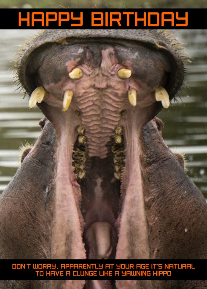 A Twisted Gifts Hippo Insulting Birthday Card with a hippo's mouth open.