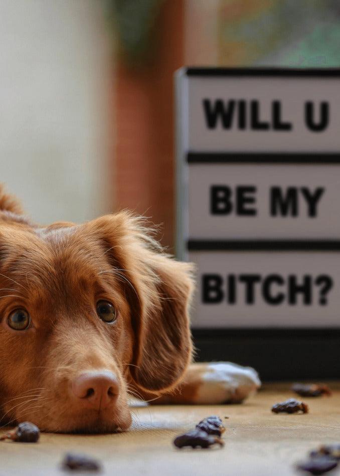 Will you be my Twisted Gifts My Bitch Funny Valentine's Card?