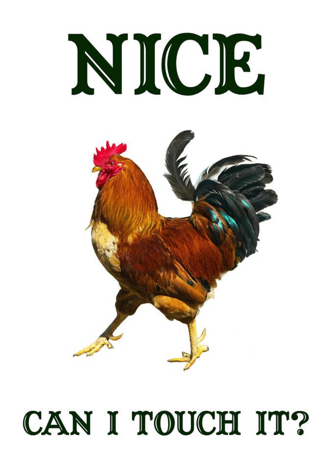 A Twisted Gifts Nice Cock Rude Valentine's Card with the words "Nice, can I touch it?" - the perfect Funny Valentine's Card.