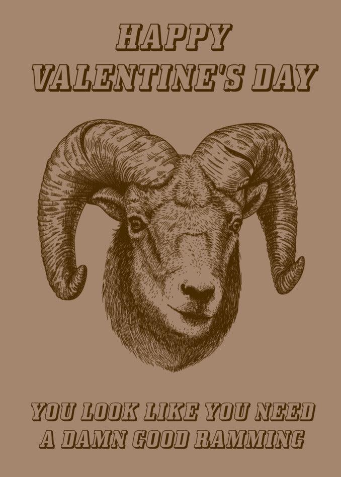Happy Valentine's Day! You look like you need a Ramming Rude Valentine's Card from Twisted Gifts.