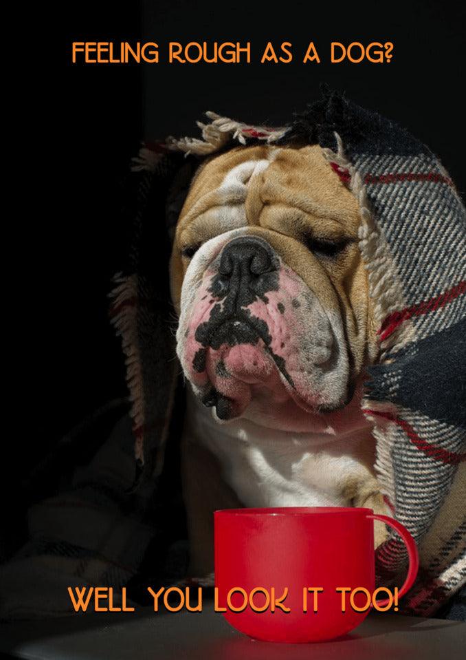 A funny bulldog wearing a blanket with the words Rough As A Dog, perfect for Twisted Gifts or as a Get Well Soon Card.