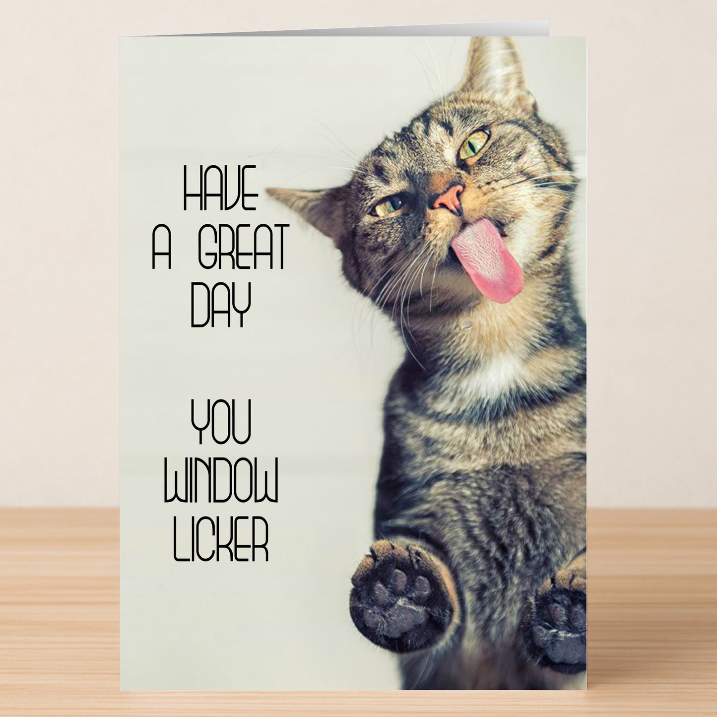 The "Window Licker" Insulting Birthday Card by Twisted Gifts features a tabby cat with its tongue out and paws on glass, plus the cheeky message: "Have a great day you window licker." Ideal for fans of funny, edgy birthday humor.