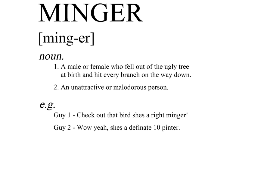 A black background with a Minger T-Shirt from Twisted Gifts, featuring a plane flying in the sky.