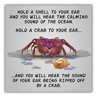 A Twisted Gifts Ocean Coaster that says hold a shell to your ear and you will hear the ocean.