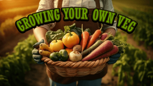 Growing your own Veg - Twisted Gifts