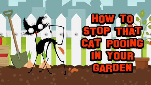 How to stop cats pooing in your garden - Twisted Gifts