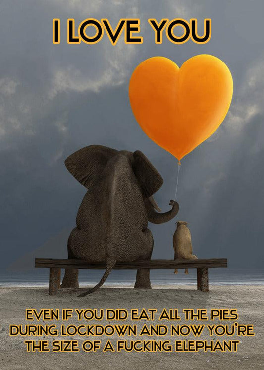 A funny elephant sitting on a bench with an orange balloon, creating the All The Pies Funny Valentine's Card from Twisted Gifts, perfect for a Valentine's card.
