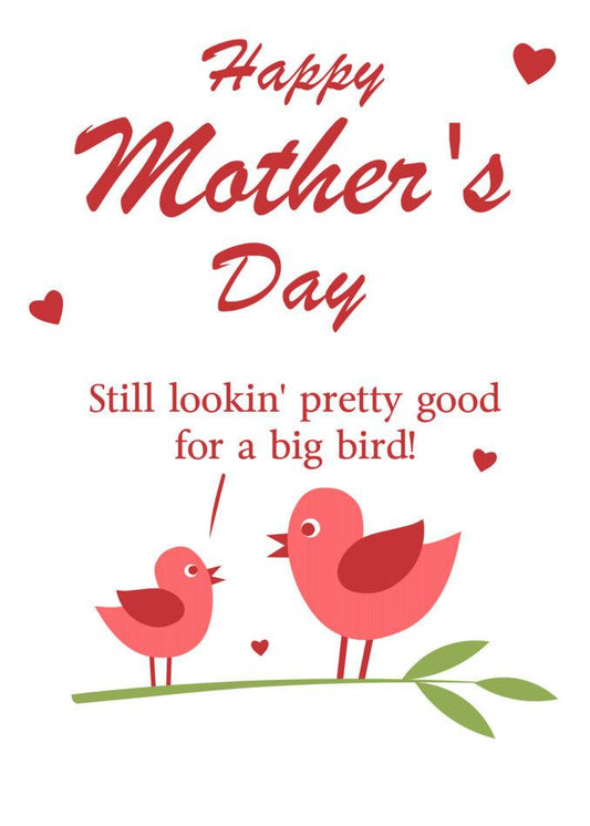 A Big Bird Insulting Mother's Day Card from Twisted Gifts, with two birds and the words happy Mother's Day, delivering a Twisted Gifts punchline