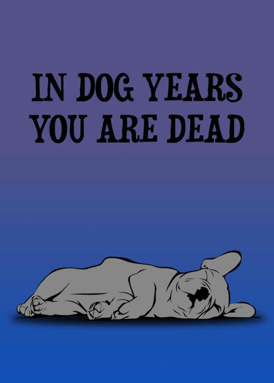 Dog Years Insulting Birthday Card, Twisted Gifts