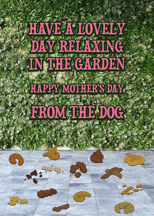 Have a lovely day relaxing in the garden with the dog and give your mom the In The Garden Funny Mother's Day Card from Twisted Gifts.