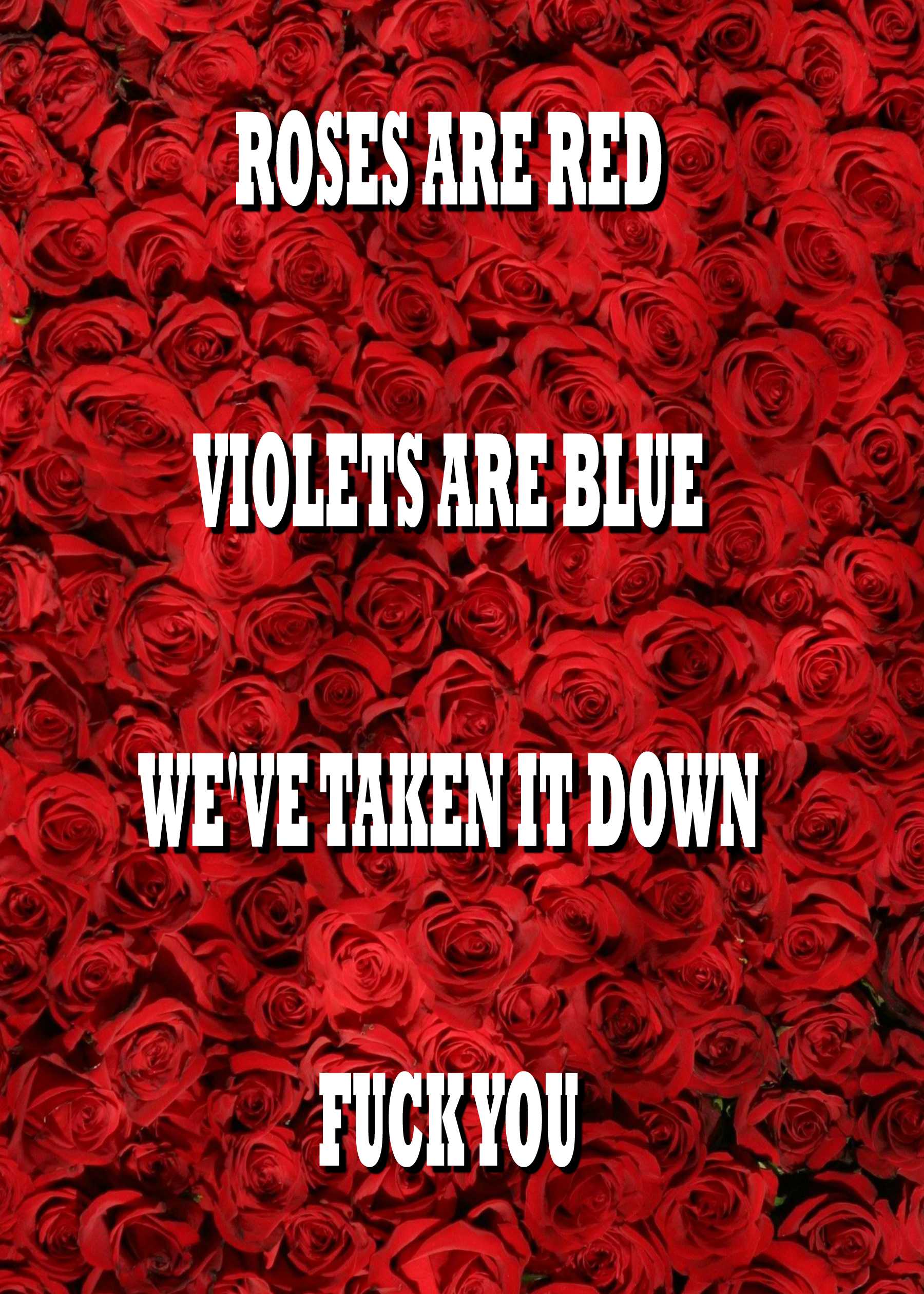 Text overlay on a background of red roses: "Roses are red, Violets are blue, We've created the Stronger Rude Valentine's Card just for you. From Twisted Gifts.