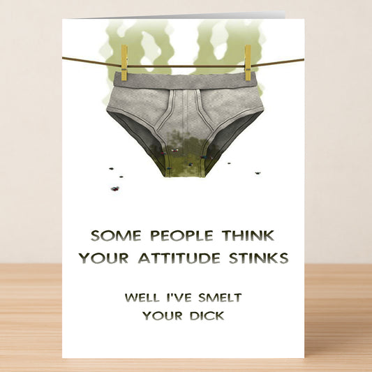 The Attitude Dick Insulting Greeting Card by Twisted Gifts features stained underpants on a clothesline with green odor lines and flies, plus a witty message about attitude and smell.