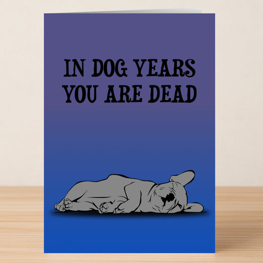 The Dog Years Insulting Birthday Card by Twisted Gifts features a blue background, an illustration of a sleeping dog, and the bold message "IN DOG YEARS YOU ARE DEAD.