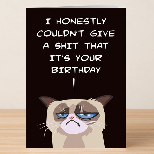 The Honestly Rude Birthday Card by Twisted Gifts features a cartoon grumpy cat and the text, "I honestly couldn't give a shit that it's your birthday," on a dark background—a perfect sarcastic greeting.