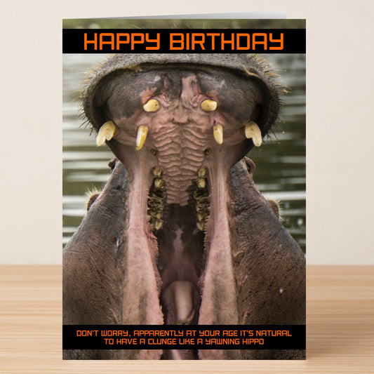 The Hippo Insulting Birthday Card by Twisted Gifts features a yawning hippo with big teeth, "Happy Birthday" text, and a cheeky aging joke—perfect for anyone who enjoys funny, playful cards.
