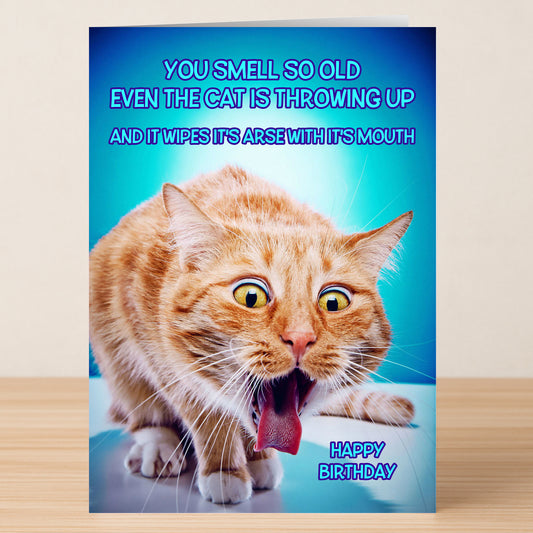The Smell So Old Insulting Birthday Card by Twisted Gifts features a wide-eyed ginger cat with its tongue out and the message: "You smell so old even the cat is throwing up and it wipes its arse with its mouth. Happy Birthday.