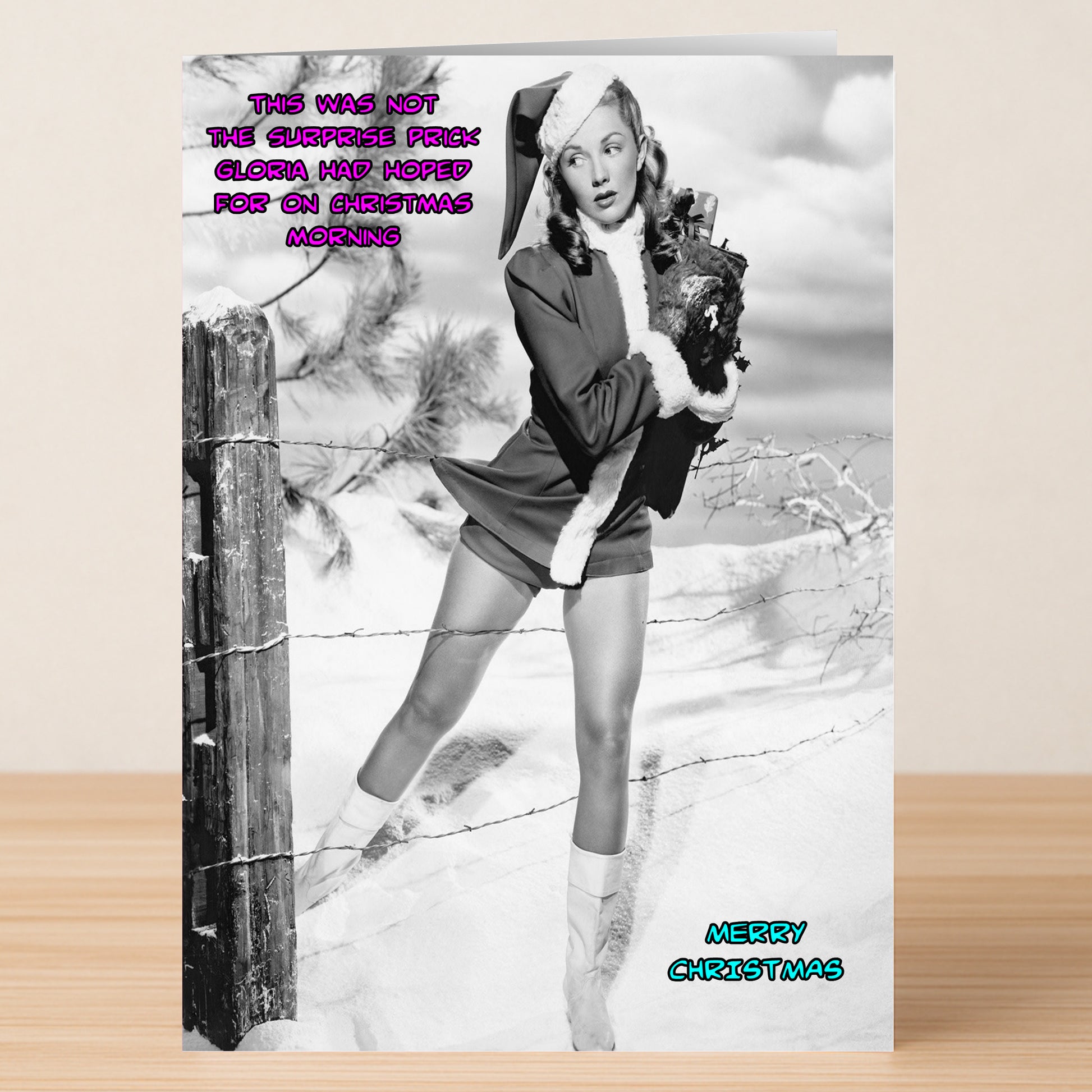A woman in a Santa outfit holds a small pine tree by a snowy fence. "This was not the surprise rock Gloria had hoped for on Christmas morning." Surprise Prick Funny Christmas Card by Twisted Gifts—perfect for spreading holiday cheer with humor!.
