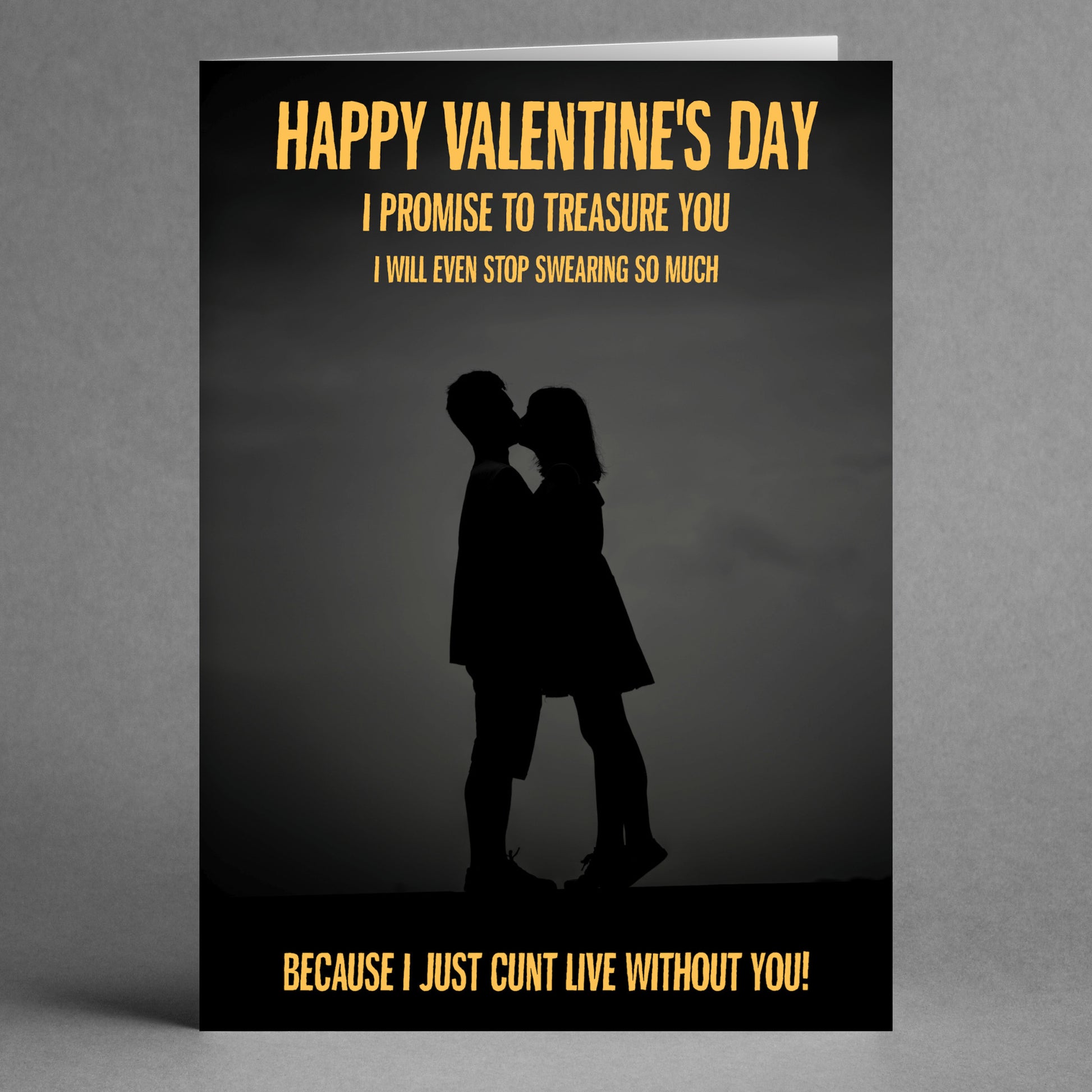 Valentine's Day card titled "Treasure You Funny Valentine's Card" from Twisted Gifts features a couple silhouetted against a gray background with the humorous text, "I promise to treasure you. I’ll even stop swearing because I just can't live without you!