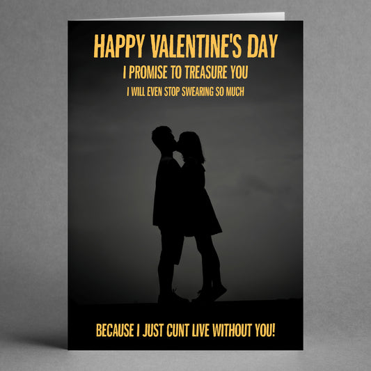 Valentine's Day card titled "Treasure You Funny Valentine's Card" from Twisted Gifts features a couple silhouetted against a gray background with the humorous text, "I promise to treasure you. I’ll even stop swearing because I just can't live without you!