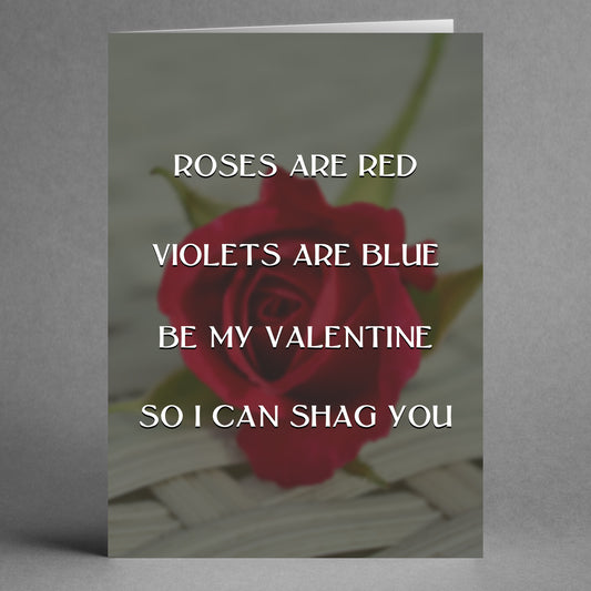 A cheeky Valentine's card from Twisted Gifts, named "Shag You Rude Valentine's Card," features a red rose and the text: "Roses are red, violets are blue, be my valentine, so I can shag you.