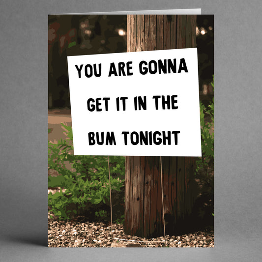 Set against lush greenery and a wooden post, the Bum Tonight Rude Valentine's Card by Twisted Gifts humorously proclaims, "YOU ARE GONNA GET IT IN THE BUM TONIGHT," making it an ideal choice for those looking to surprise their special someone with a quirky greeting card.