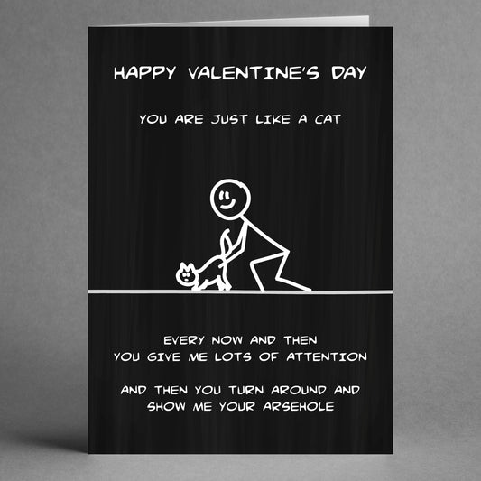 The Twisted Gifts "Like A Cat Rude Valentine's Card" features a humorous scene of a stick figure petting a cat, with cheeky text comparing your partner to feline-like love, light-heartedly highlighting their attention-giving and turning away in a purr-fectly witty twist.