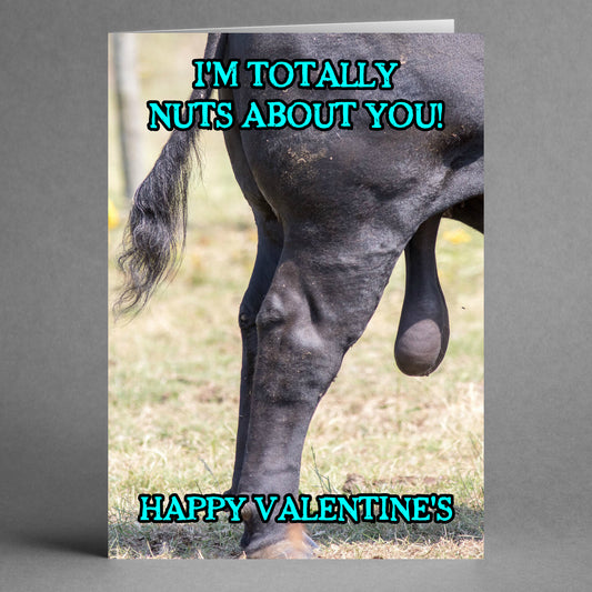 Introducing the Twisted Gifts "Nuts About You Funny Valentines Card," showcasing a playful design of a black horse's back leg alongside the message "I'M TOTALLY NUTS ABOUT YOU! HAPPY VALENTINE'S." It's an ideal choice for couples who love sharing laughter and lighthearted moments.