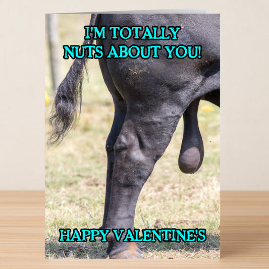 The Nuts About You Funny Valentines Card by Twisted Gifts features a horse’s rear and bold blue text, “I’M TOTALLY NUTS ABOUT YOU! HAPPY VALENTINE'S”—a hilarious way to show your love.