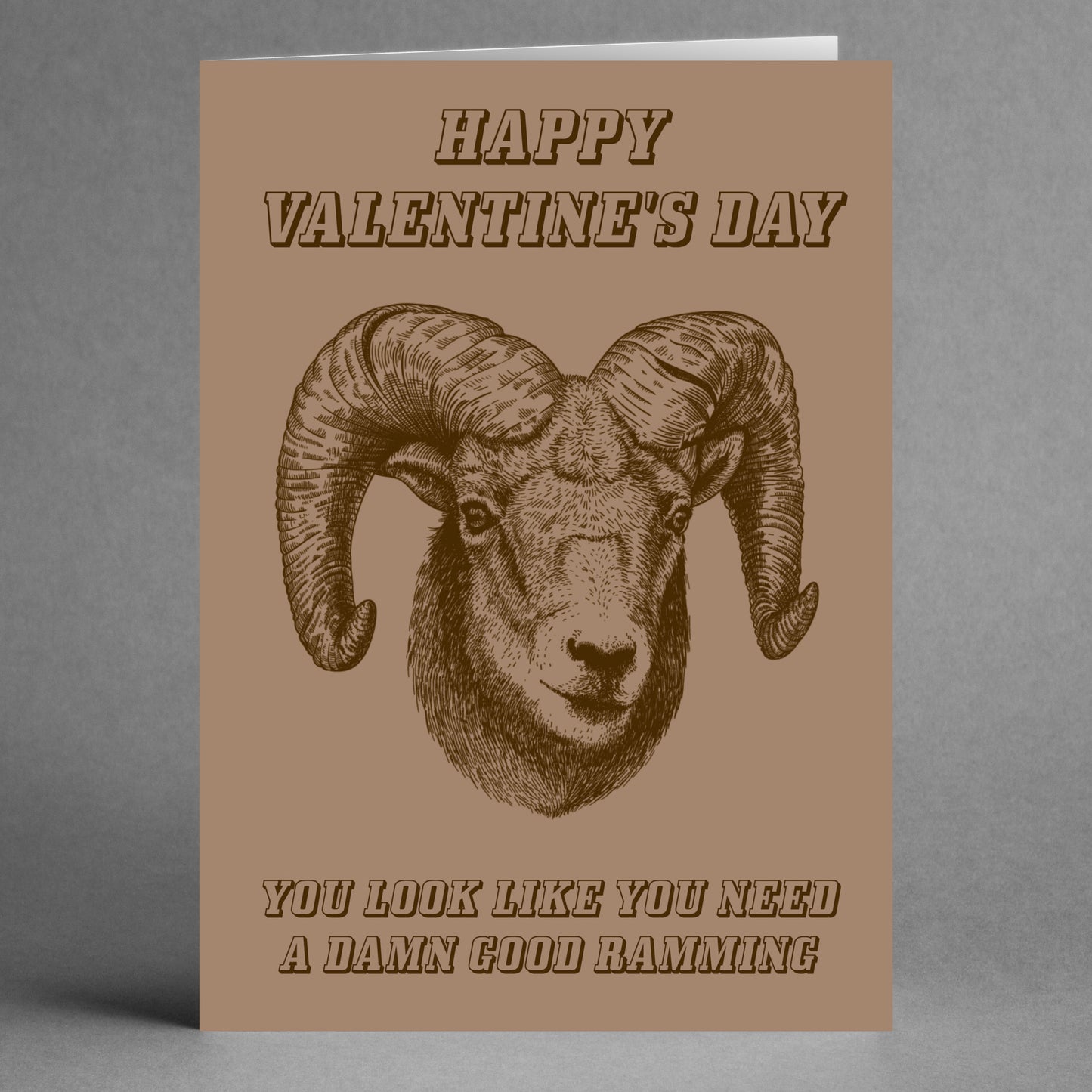 Introducing the "Ramming Rude Valentine's Card" by Twisted Gifts, a cheeky limited edition card featuring an illustration of a ram and the playful message: "Happy Valentine's Day. You look like you need a damn good ramming." This is the perfect choice for anyone looking to make someone special blush with a rude Valentine's Day surprise!