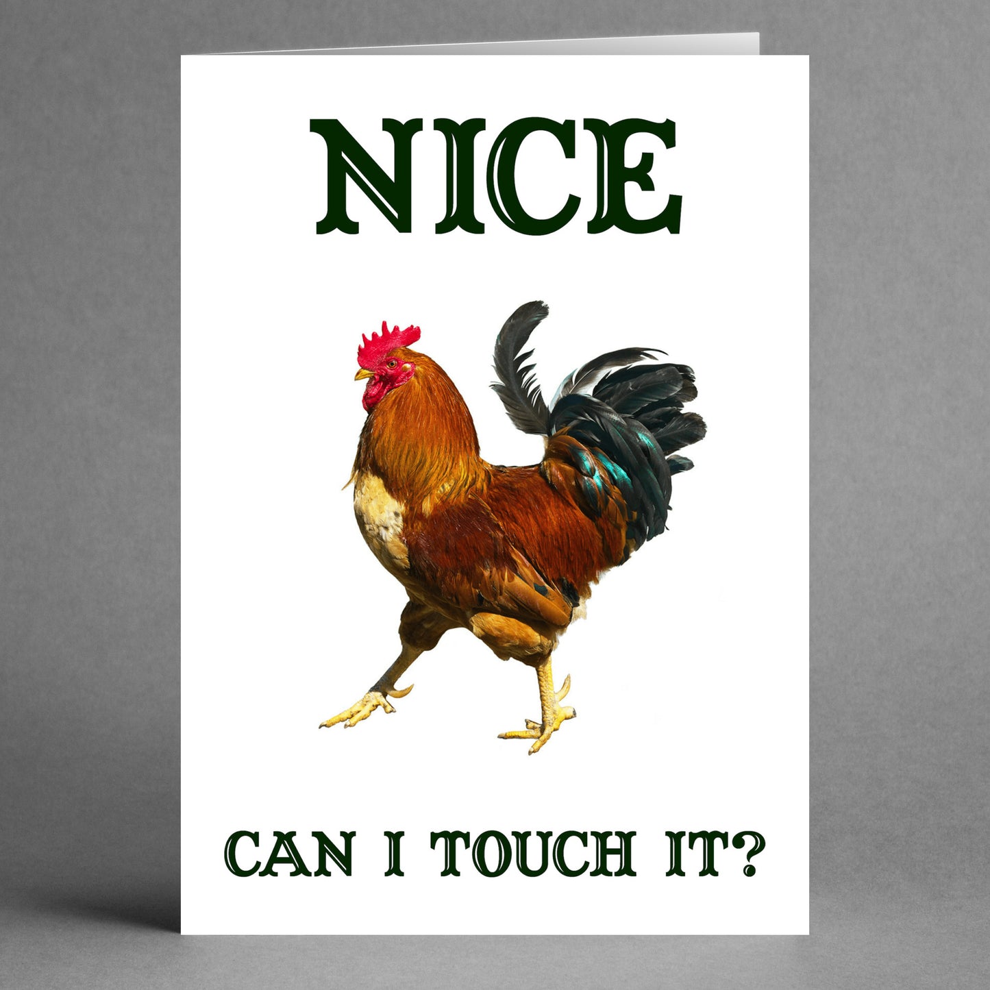 This cheeky greeting card from Twisted Gifts, called the "Nice Cock Rude Valentine's Card," showcases a playful rooster image with "NICE" prominently at the top and a sassy "CAN I TOUCH IT?" beneath. It's perfect for those who enjoy a Rude Valentine's Card, making it an ideal choice to spark laughter in a fun-loving relationship.