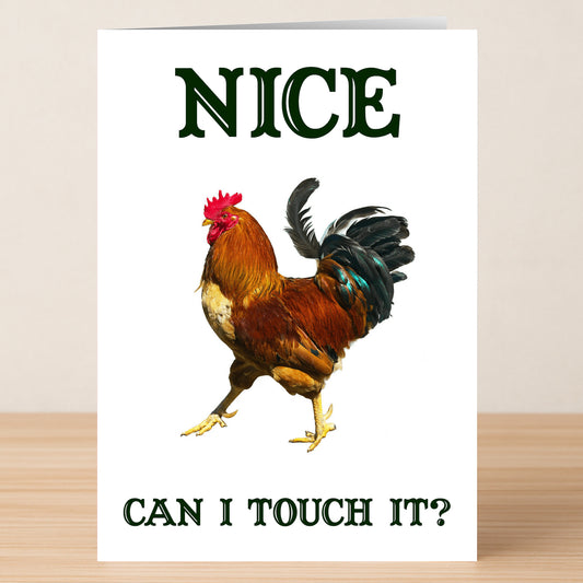 The Nice Cock Rude Valentine's Card by Twisted Gifts features a rooster and the cheeky text "NICE CAN I TOUCH IT?"—perfect for playful relationships or anyone who loves a good Nice Cock joke.