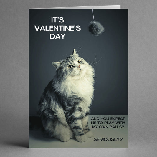 A fluffy cat gazes at a dangling ball on the Seriously Funny Valentine's Card by Twisted Gifts. The humorous message reads, "It's Valentine's Day, and you expect me to play with my own balls? Seriously?" making it an ideal choice for a significant other with a sense of humor.