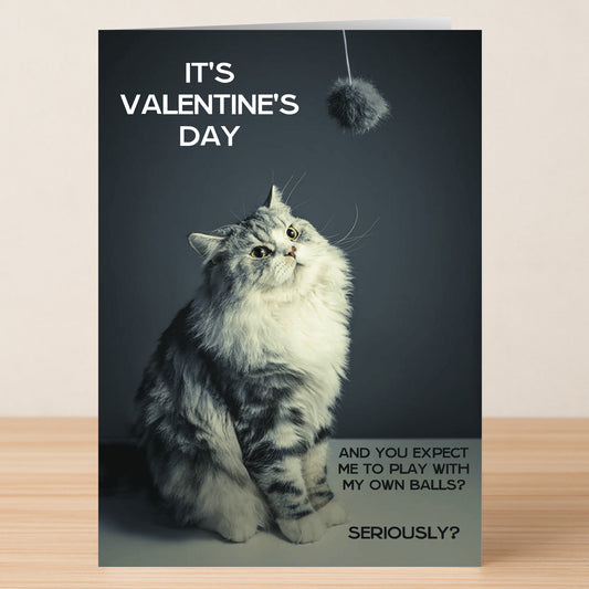 A fluffy gray and white cat looks up at a toy ball in this Twisted Gifts Seriously Funny Valentine's Card, featuring the text: "It's Valentine's Day. And you expect me to play with my own balls? Seriously?".