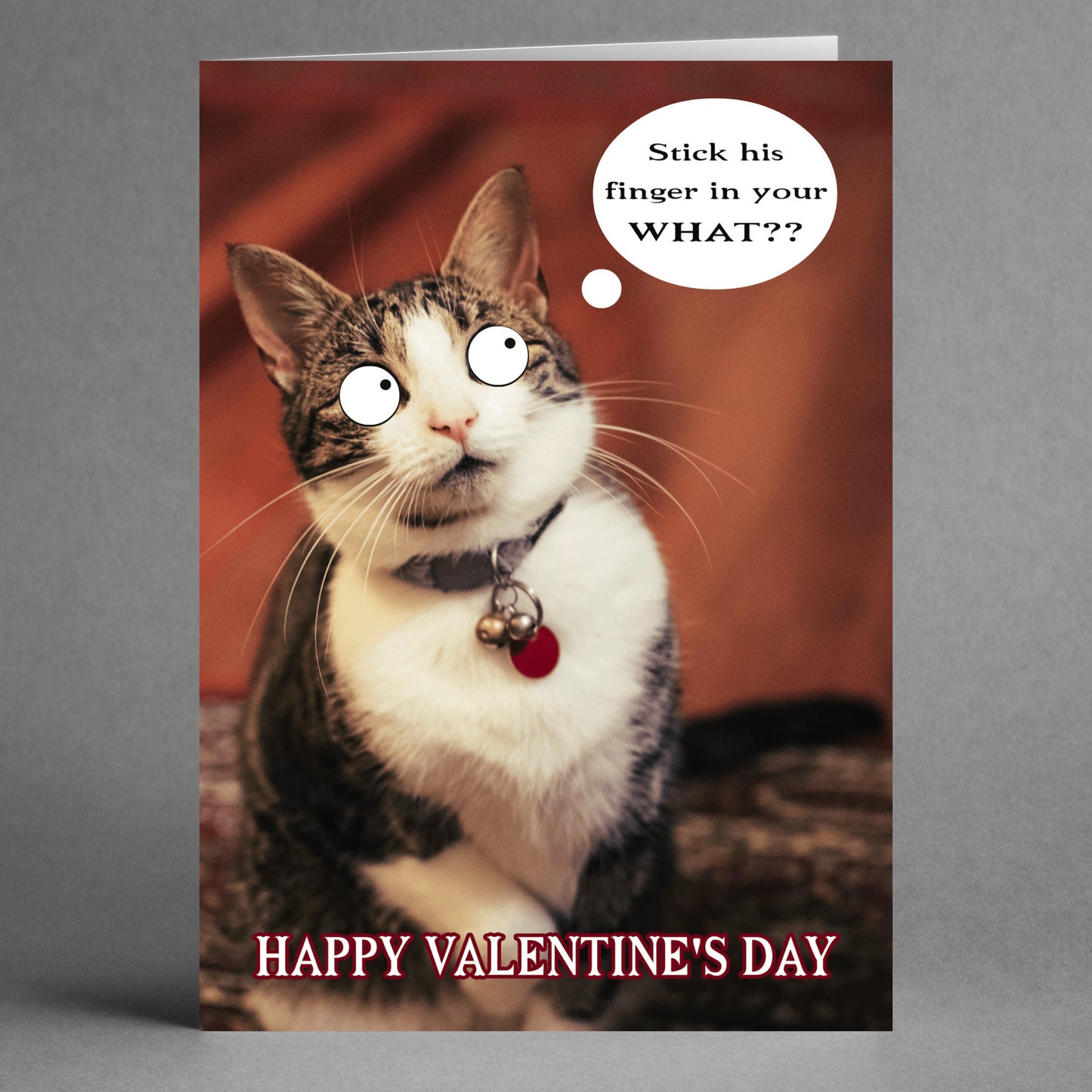 The "Finger In What? Rude Valentine's Card" from Twisted Gifts features a wide-eyed cat with a thought bubble exclaiming, "Stick his finger in your WHAT??" capturing the hilarious essence of this card. Below, it says "Happy Valentine's Day," making it an ideal choice for someone with a playful sense of humor.