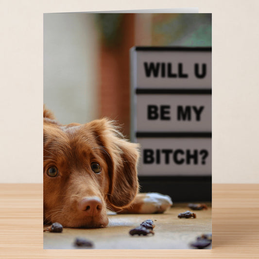 A brown dog lies beside a sign saying, "WILL U BE MY BITCH?"—a unique and funny Valentine’s card from Twisted Gifts, called the My Bitch Funny Valentine's Card.