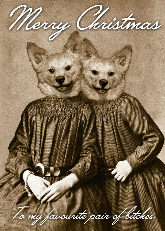 Sepia-tone image of two women sitting together, with dog heads instead of human heads. Text reads "Merry Christmas" at the top and "To my favourite pair of bitches" at the bottom. The Twisted Gifts Favourite Pair Funny Christmas Card is perfect for those who enjoy playful family dynamics in their holiday greetings.