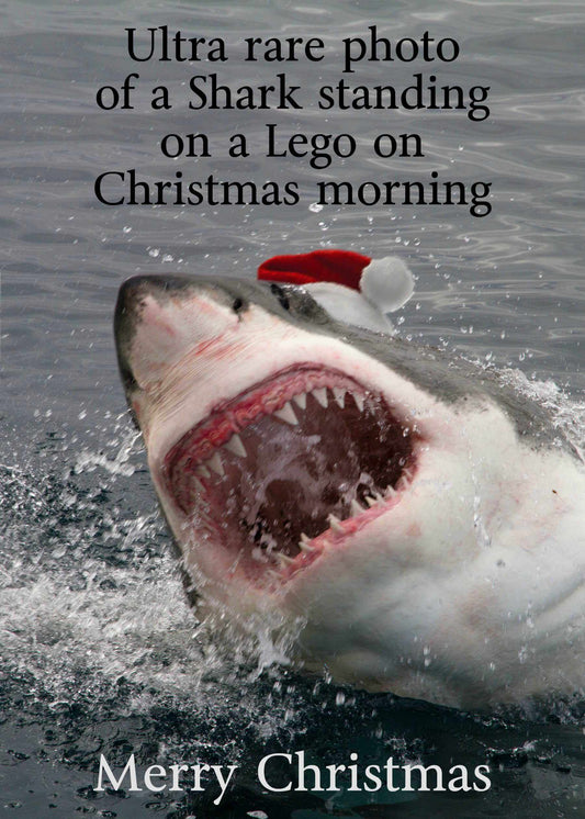 The Lego Shark Funny Christmas Card by Twisted Gifts features a hilarious design of a great white shark breaching the water with a Santa hat on its head, accompanied by the text "Ultra rare photo of a Shark standing on a Lego on Christmas morning, Merry Christmas." This amusing card is perfect for spreading holiday cheer.