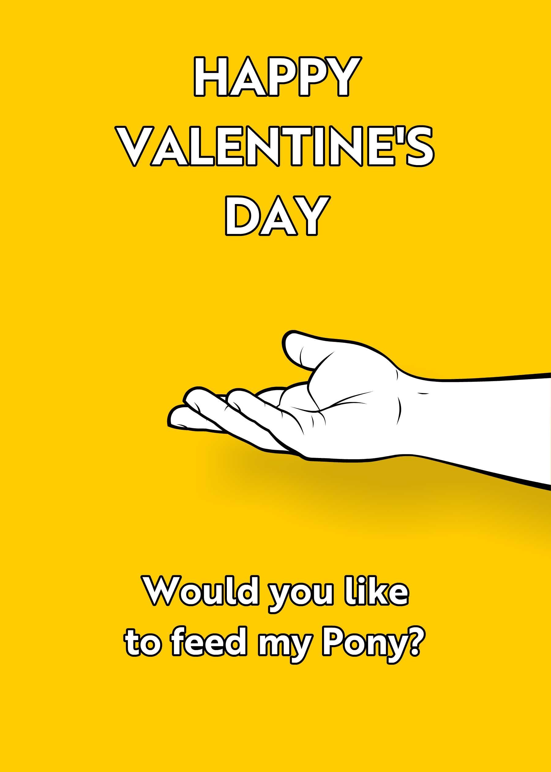 The "Feed My Pony Rude Valentines Card" by Twisted Gifts features an outstretched hand on a yellow background with the text "Happy Valentine's Day" and "Would you like to feed my Pony?"—perfect for those who love spreading laughs.