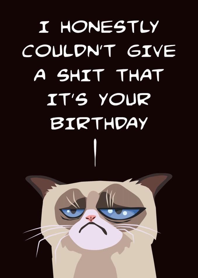 A hilarious and grumpy cat that completely disregards the fact that it's your birthday. Perfect for cat lovers in need of a Twisted Gifts Honestly Rude Birthday Card.