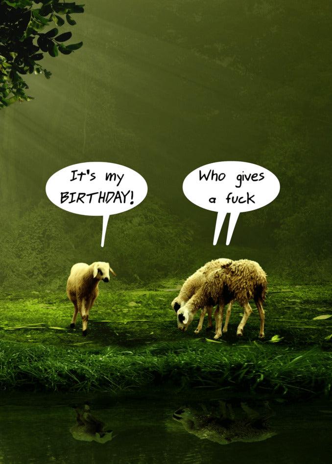 Two sheep standing next to a pond with speech bubbles, offering the Twisted Gifts' "It's My Birthday" Rude Birthday Card.